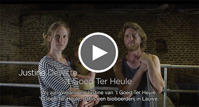 video tgoedterheule